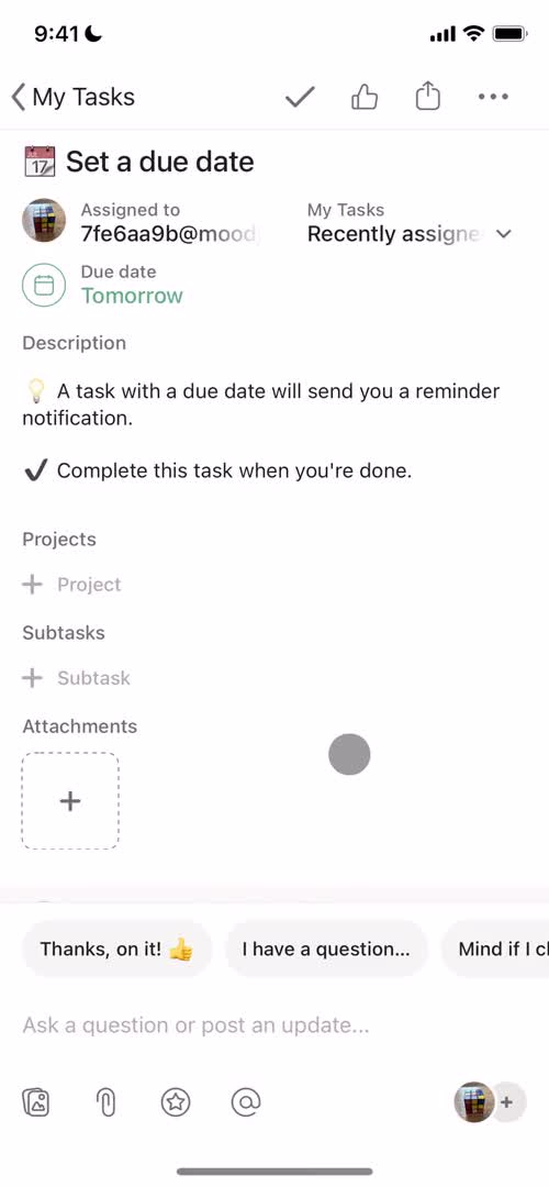 Asana task details screenshot