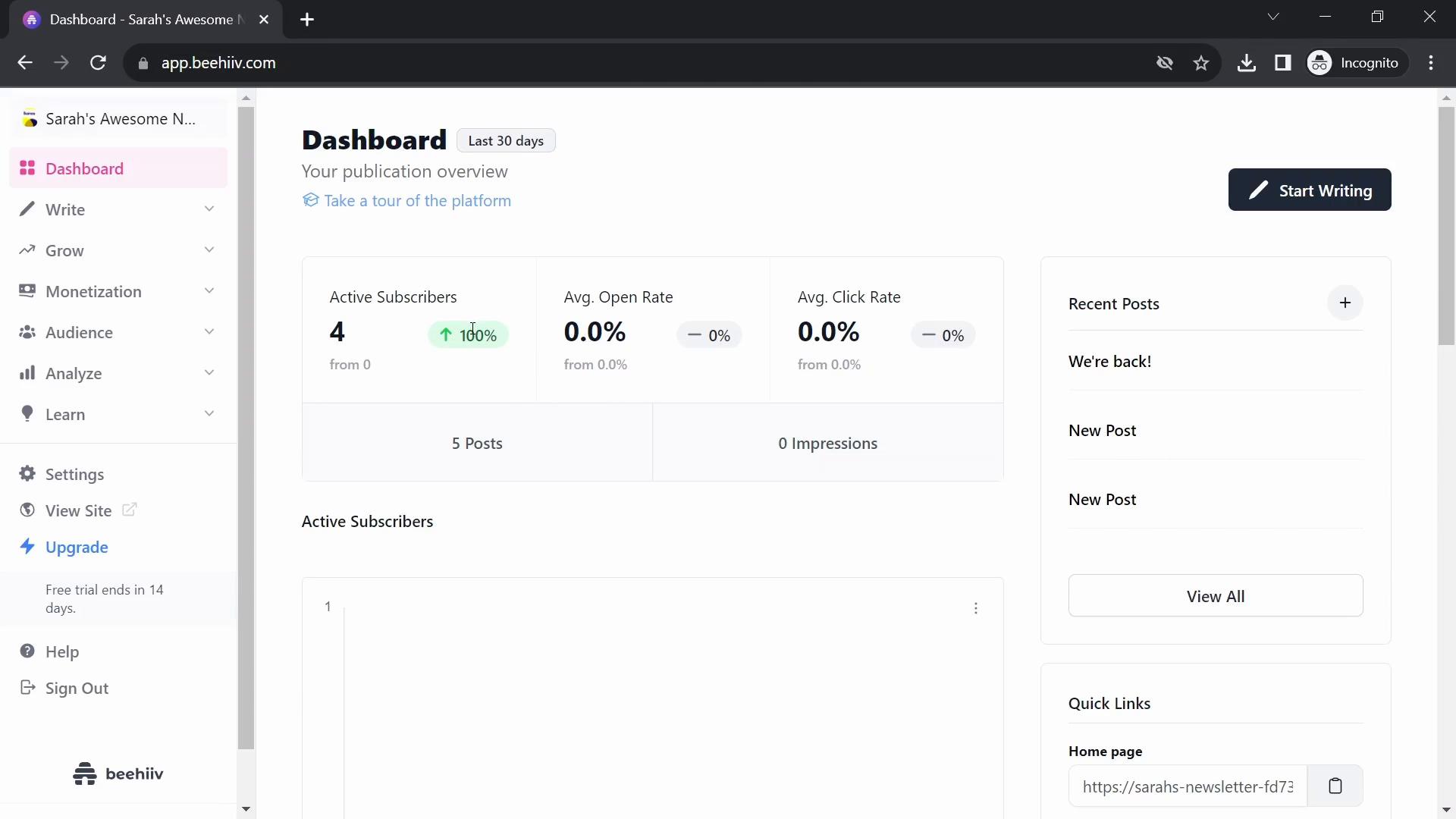 Screenshot of Analytics/Stats on Beehiiv