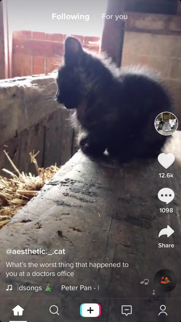 Sharing on TikTok video screenshot