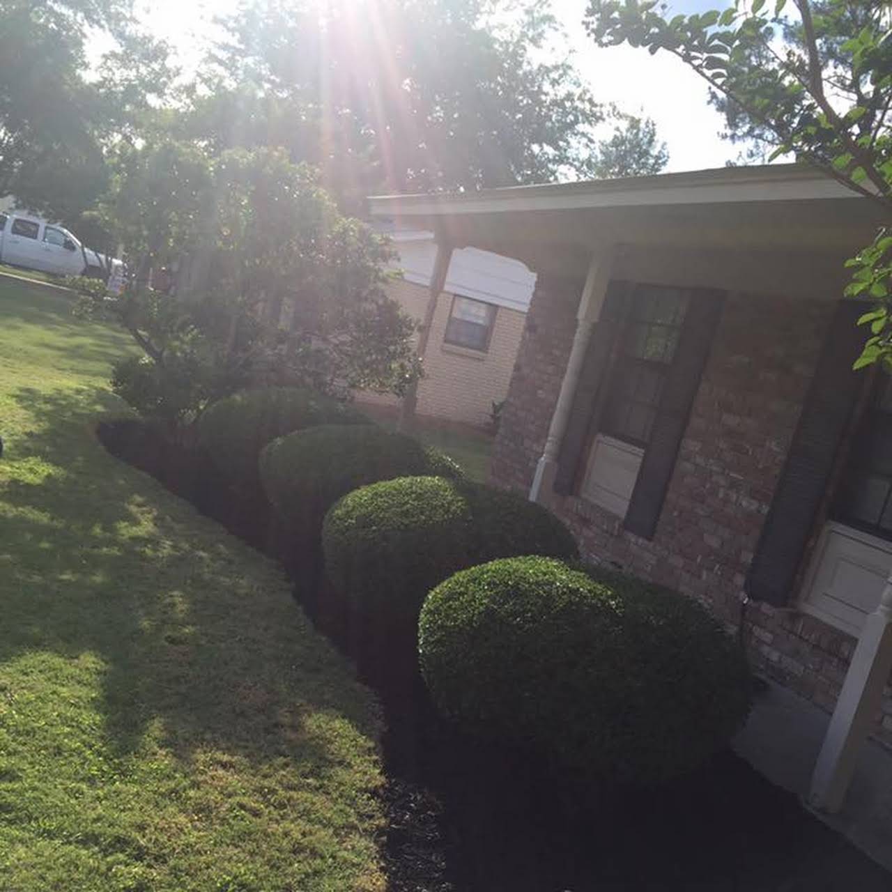 When should you not cut your grass