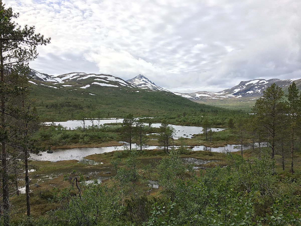 Ånderdalen National Park