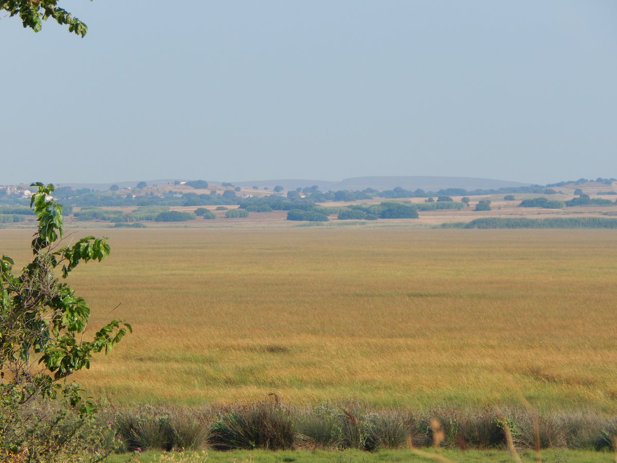Chortarolimni