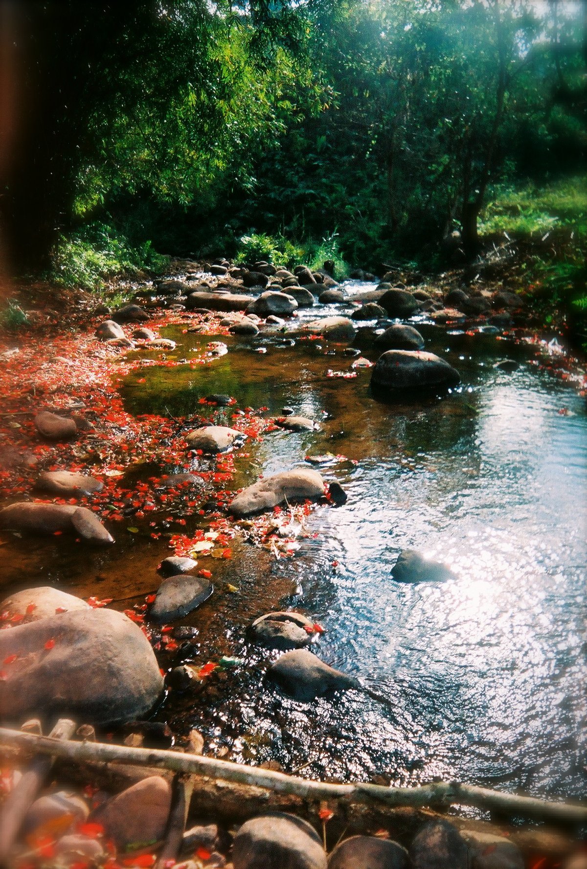 Khun Sathan National Park