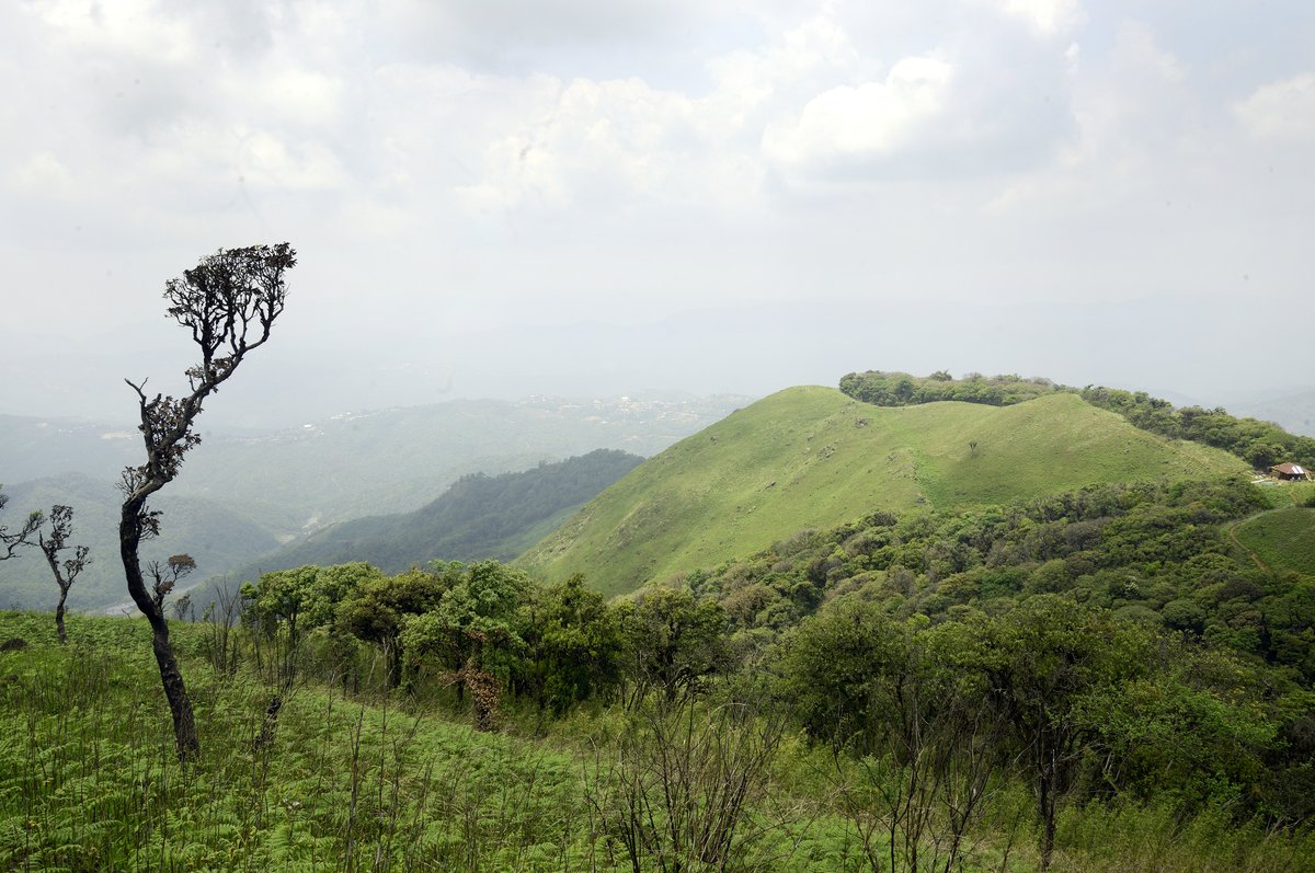 Shirui National Park
