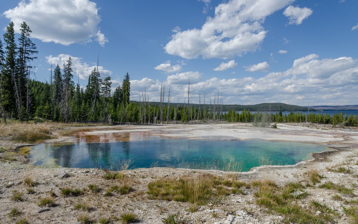 Abyss Pool