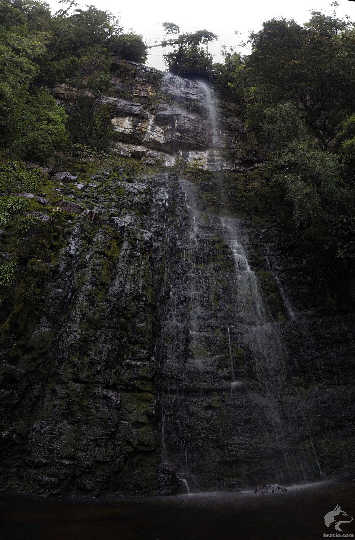 Adamsons Falls