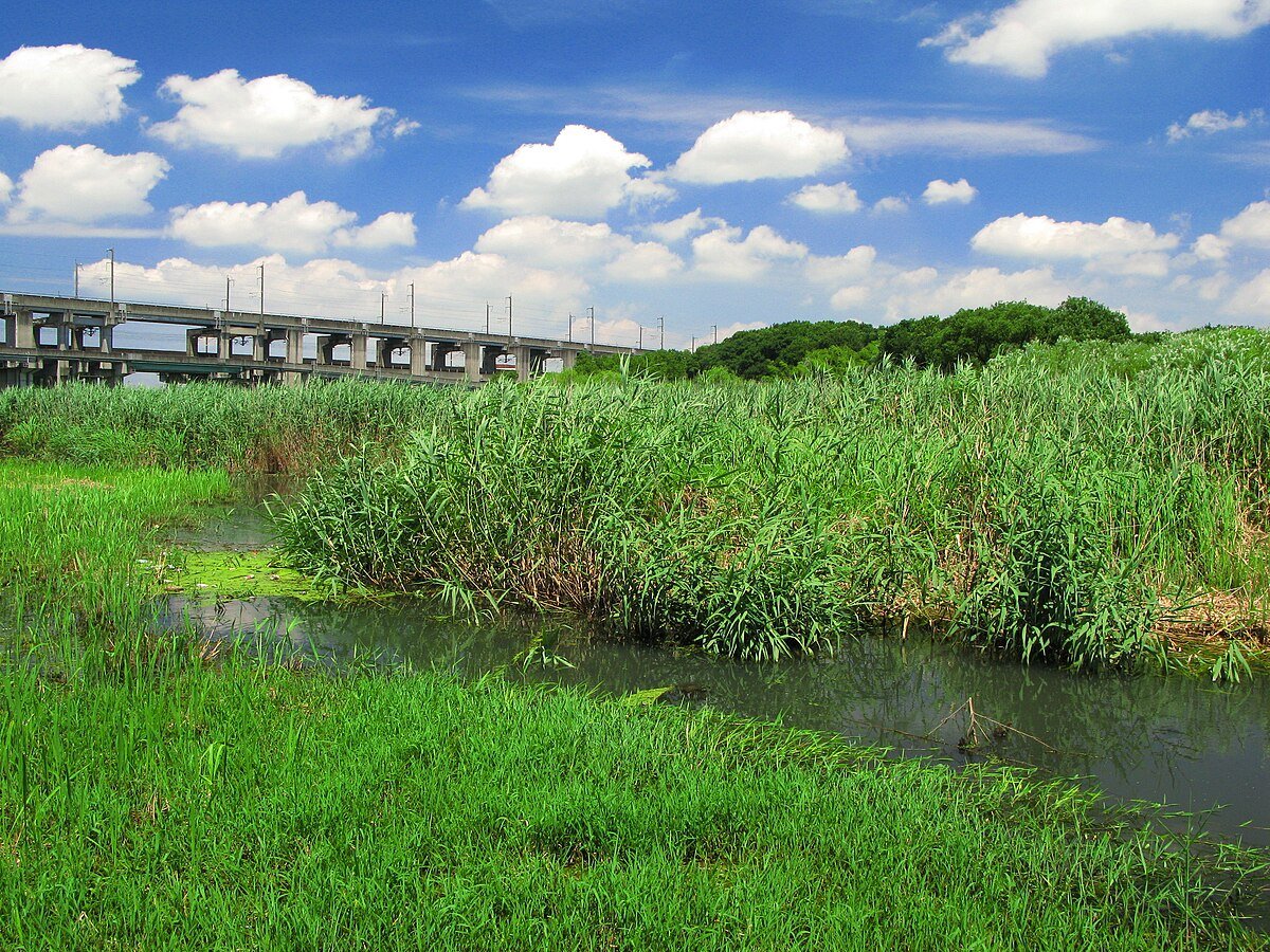 Haraichi Swamp