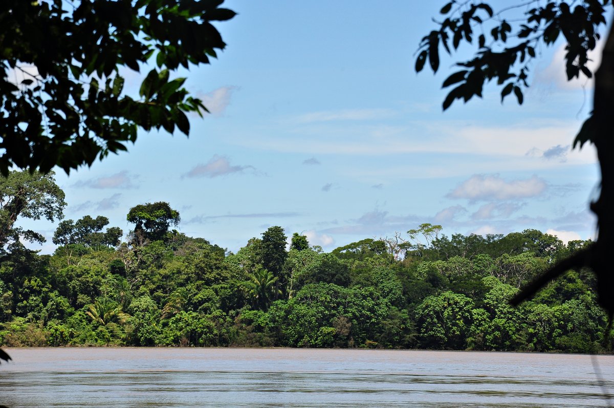 Mapinguari National Park