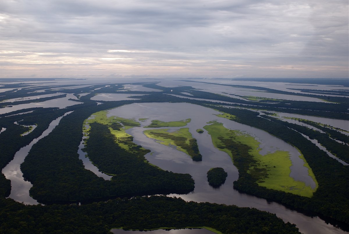 Anavilhanas National Park