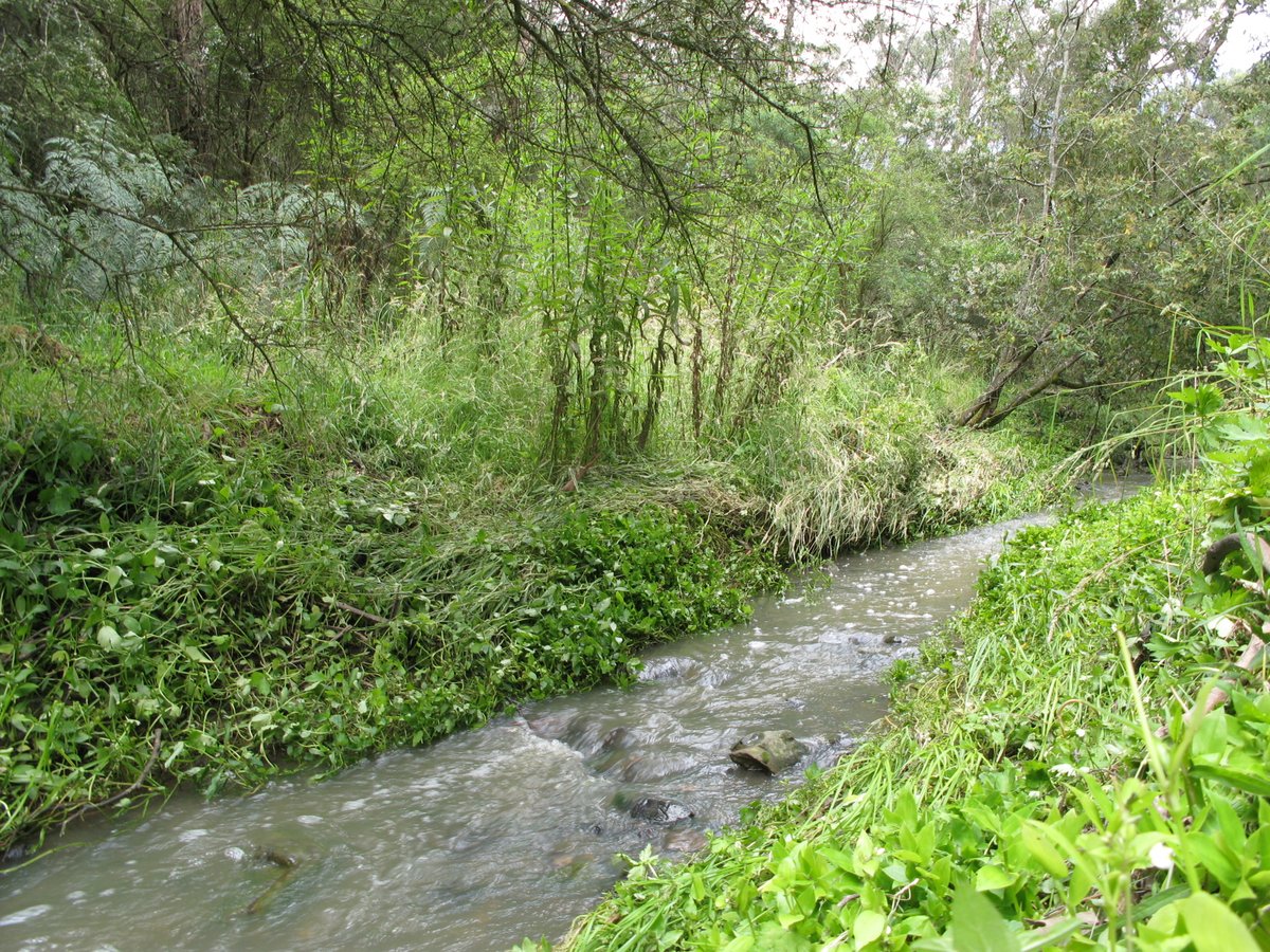 Andersons Hill