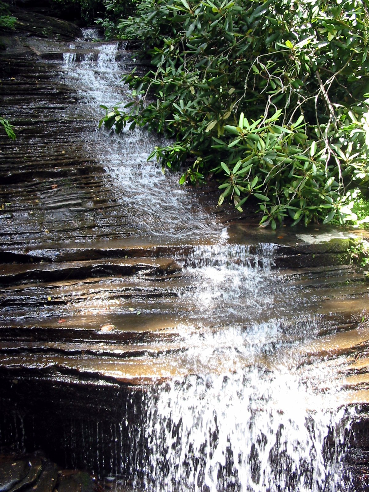 Angel Falls