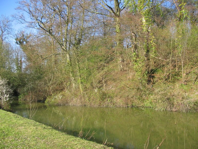 Anstey Castle