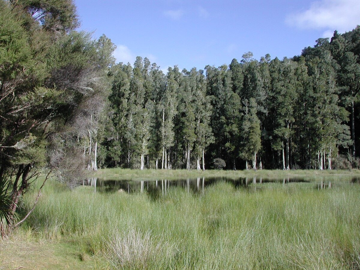 Arohaki Lagoon