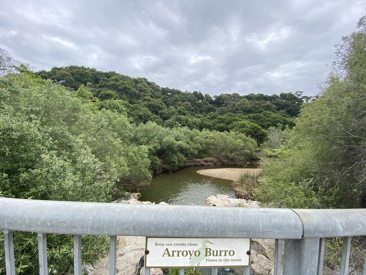 Arroyo Burro Beach