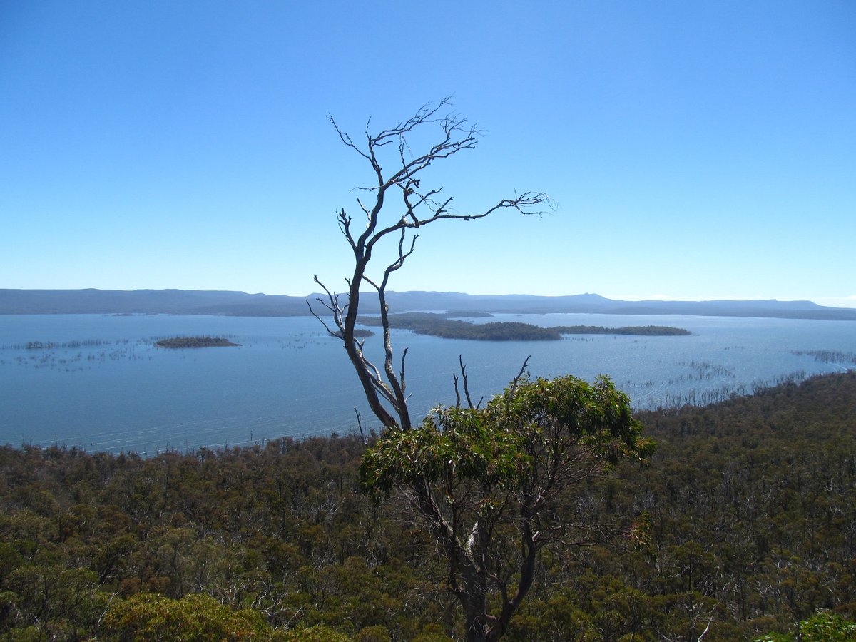 Arthurs Lake
