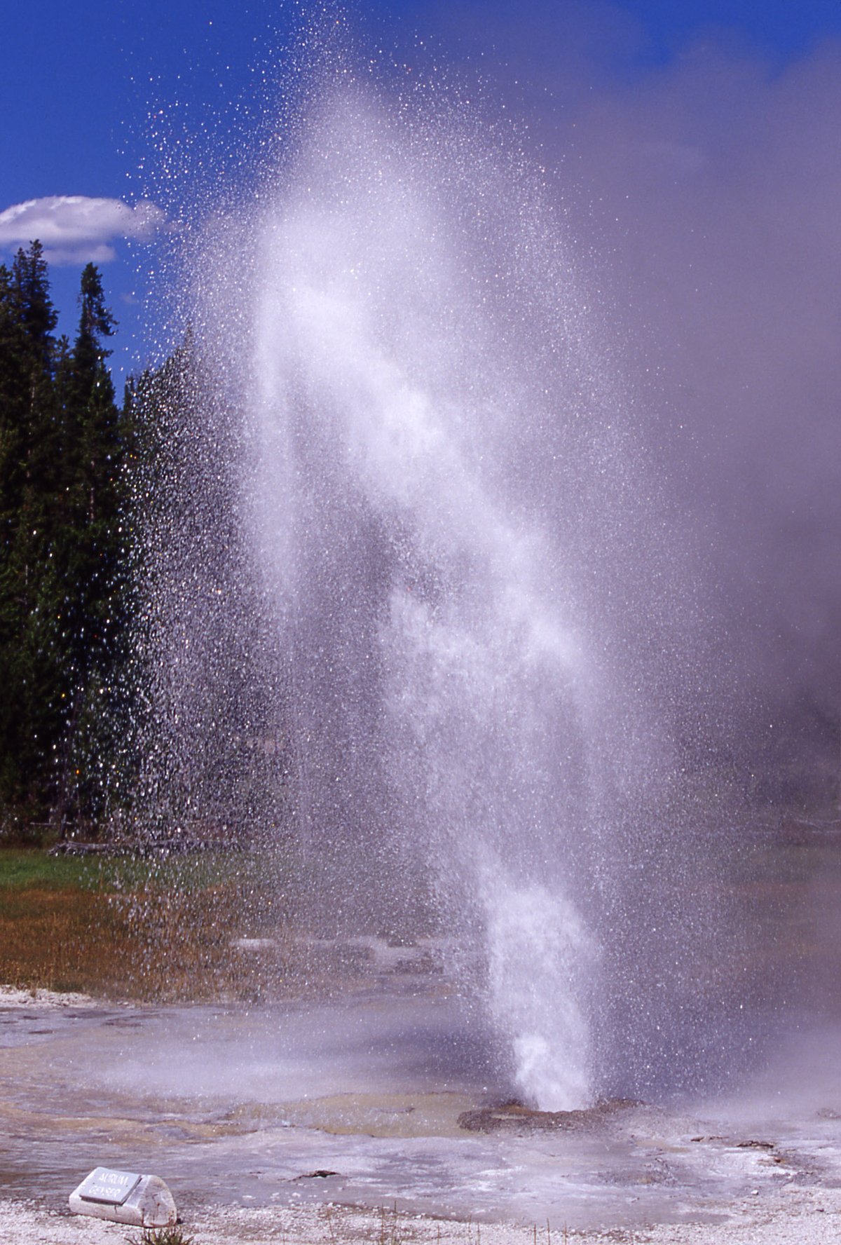 Aurum Geyser