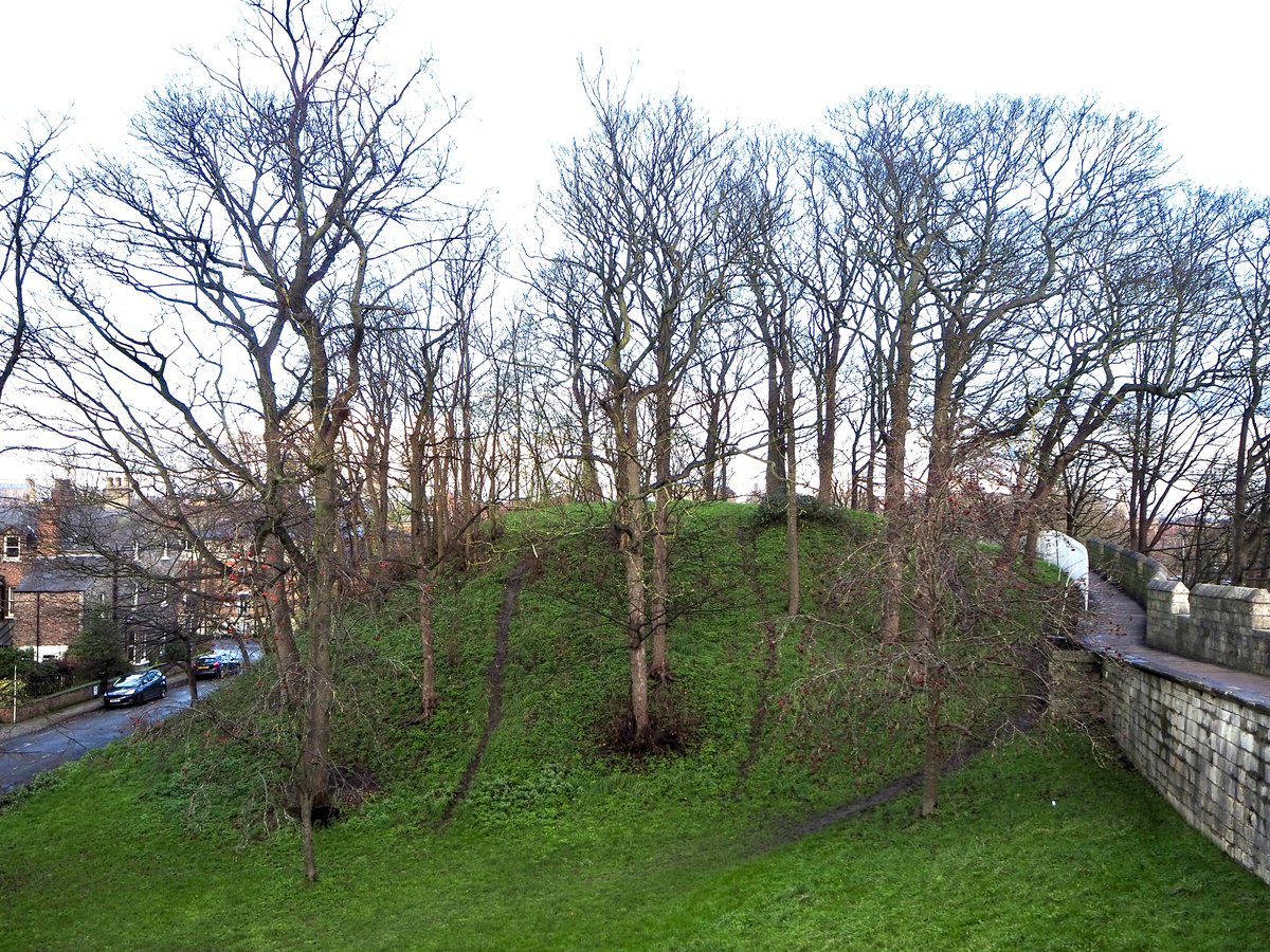 Baile Hill