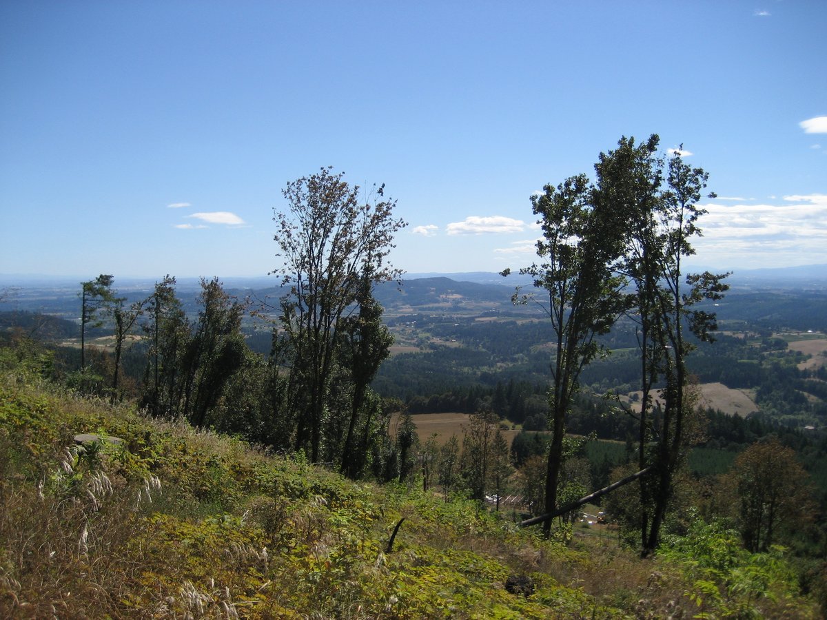 Bald Peak State Scenic Viewpoint