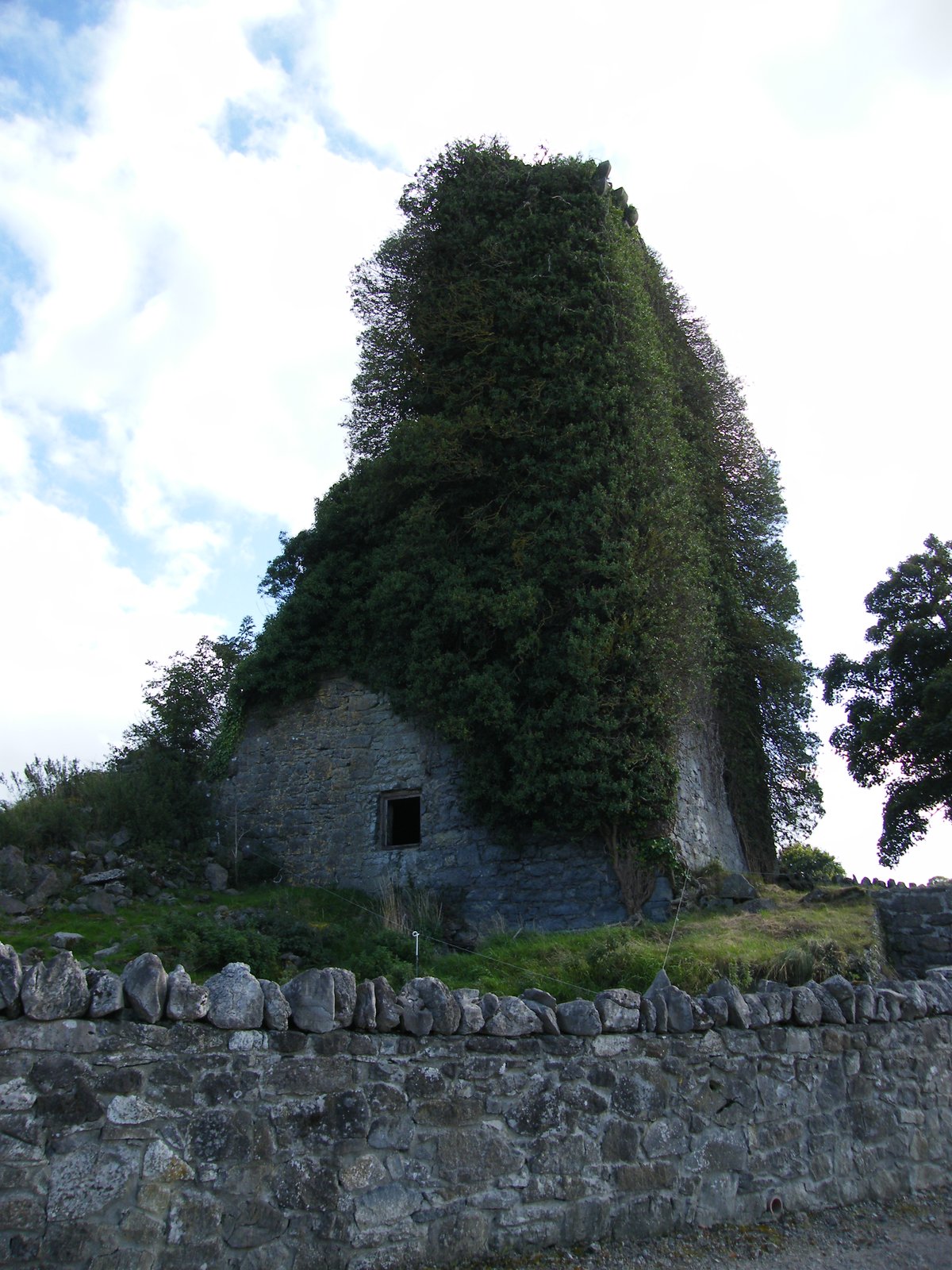 Ballyquirk Castle