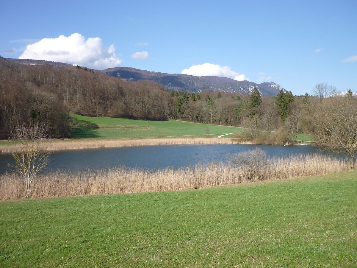 Bellacher Weiher