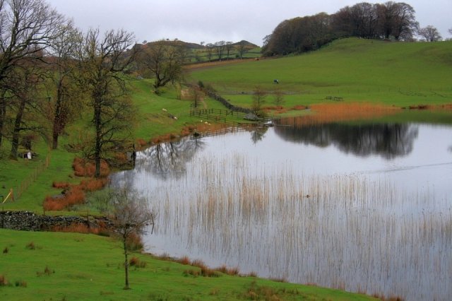 Bigland Tarn