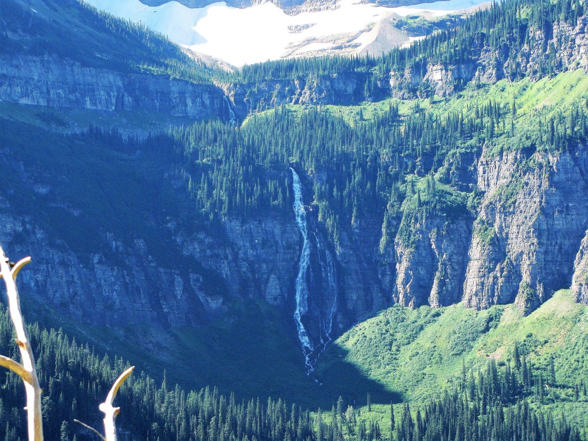 Bird Falls