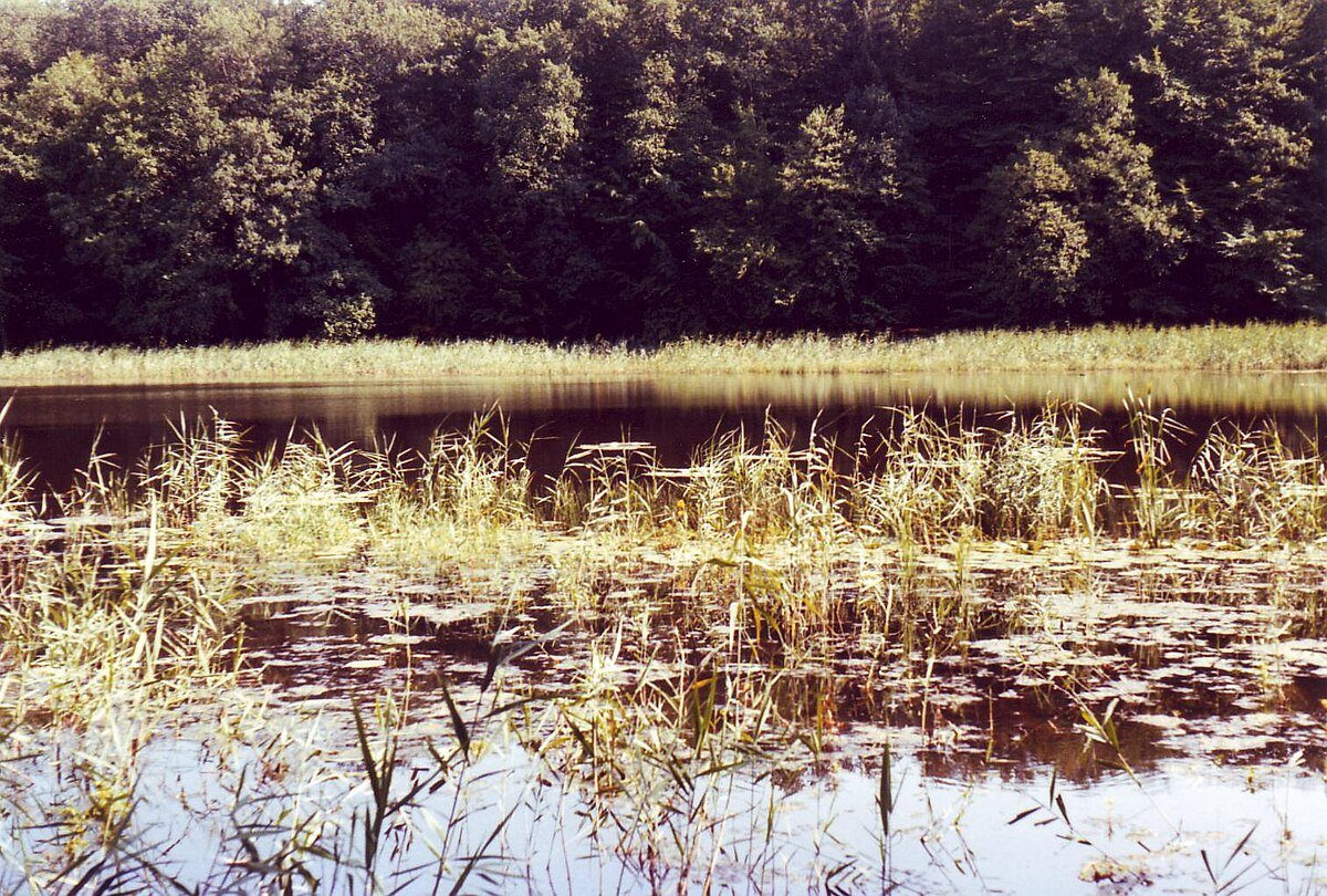 Etangs de Bonfol