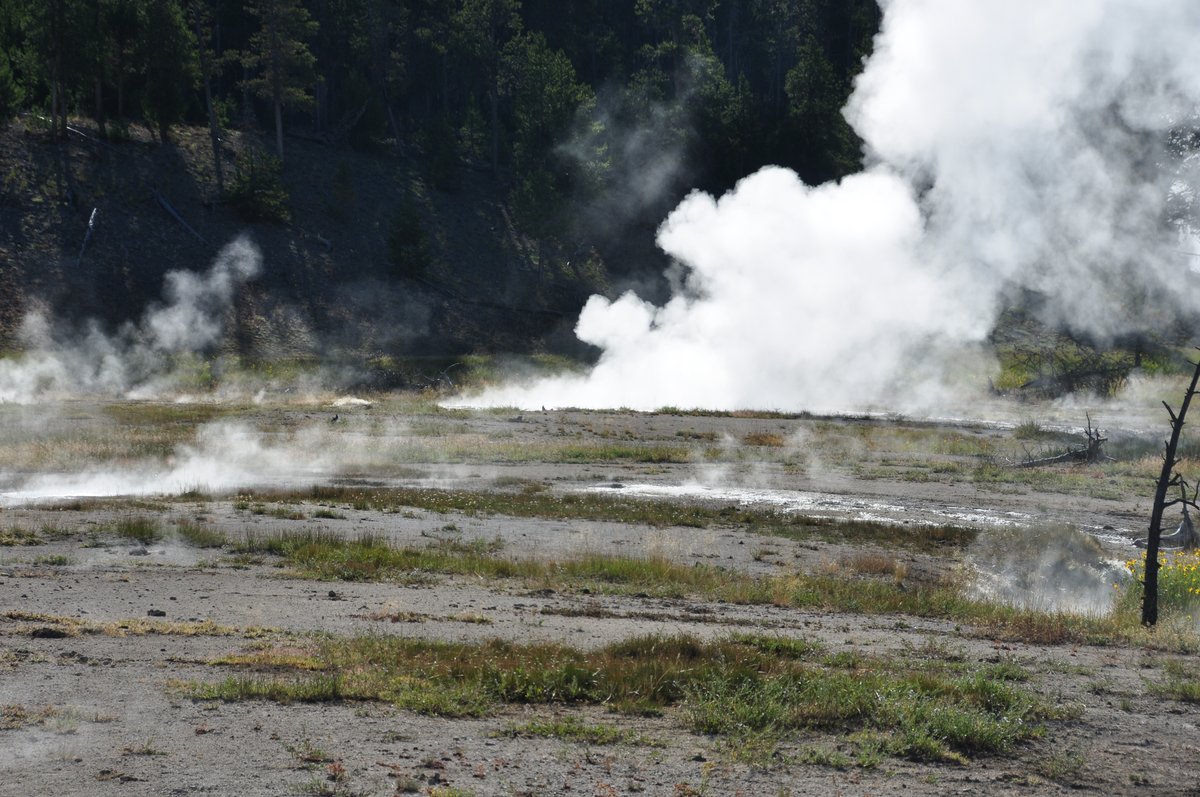 Botryoidal Spring