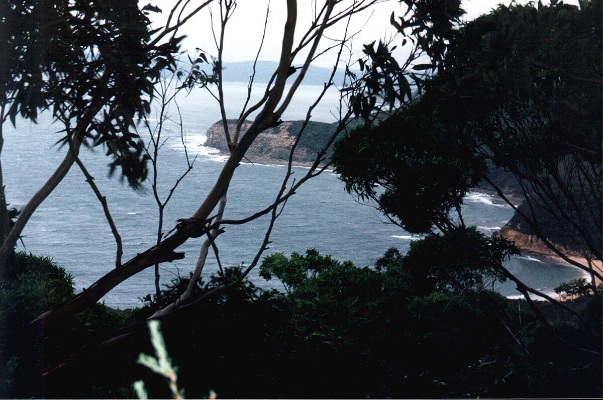 Bouddi National Park