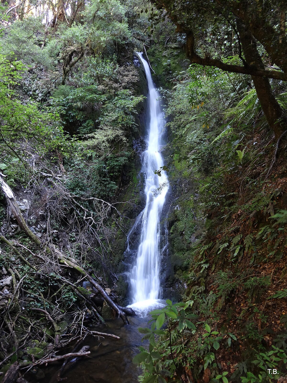 Braeburn Falls