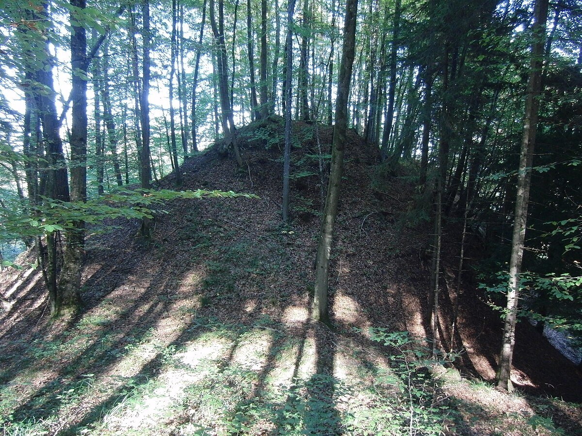 Burg Buch