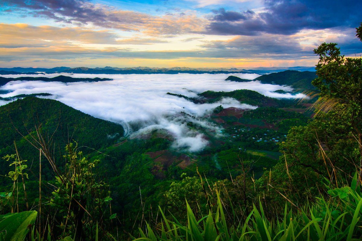 Phu Toei National Park