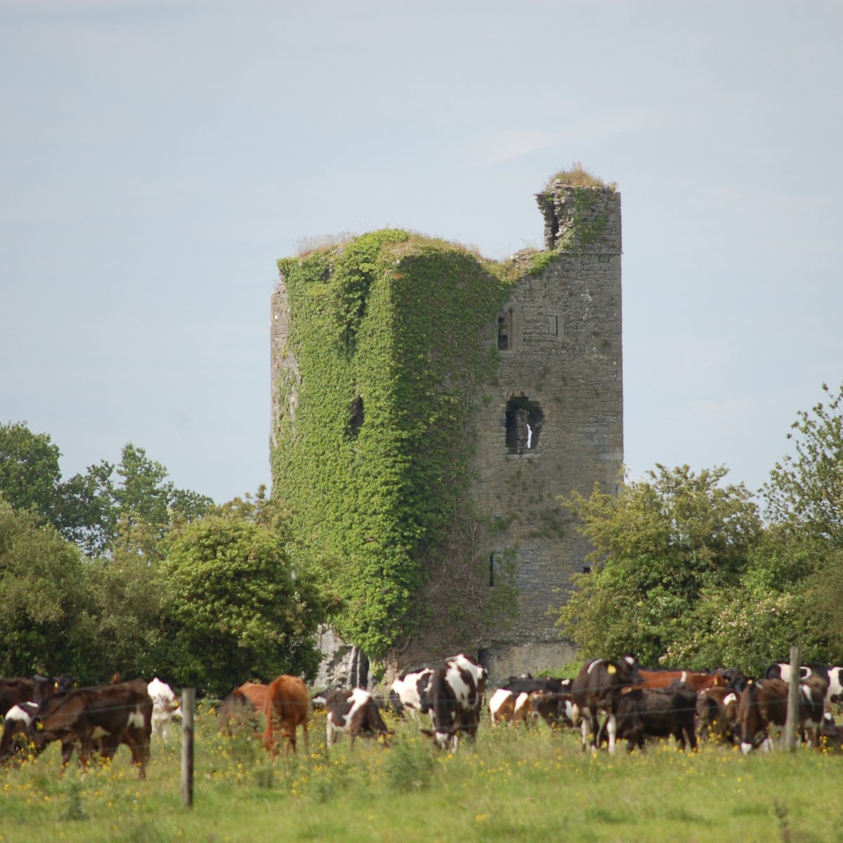Cantwell's Castle