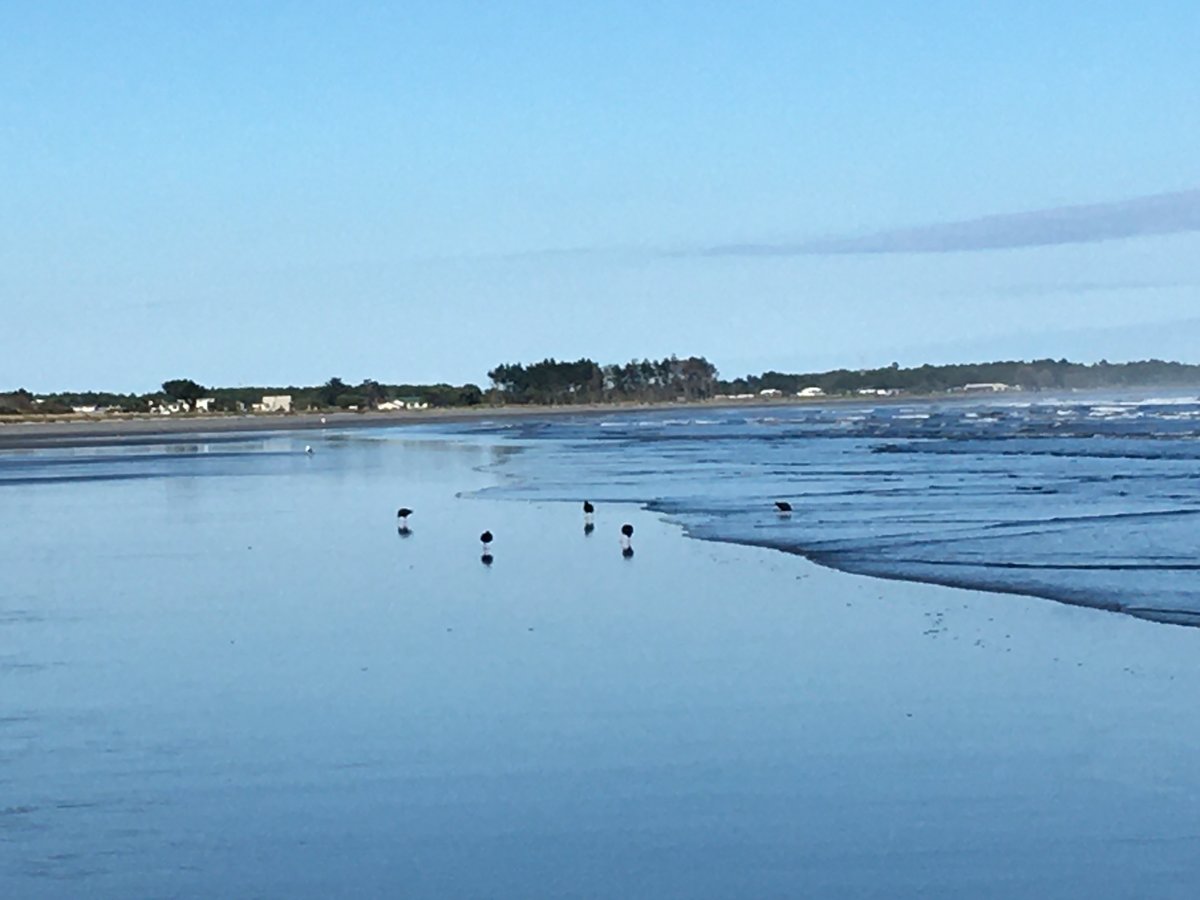 Carters Beach