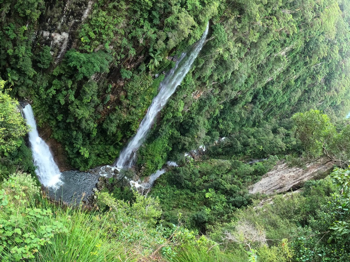 Coomera Falls