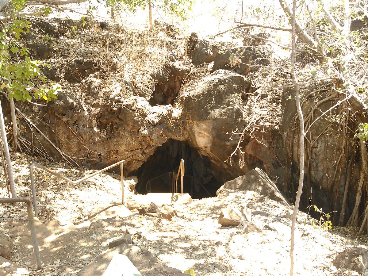 Cutta Cutta Caves Nature Park