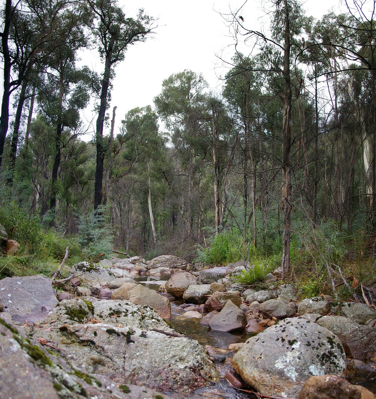 Dandongadale Falls