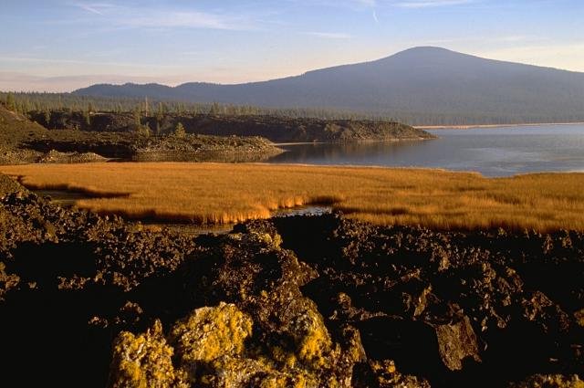Davis Lake volcanic field