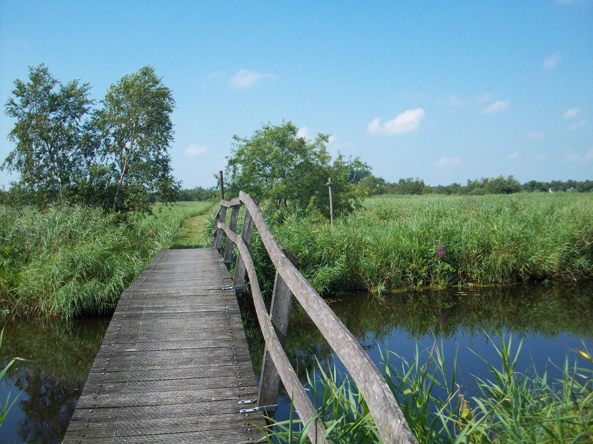 De Alde Feanen National Park