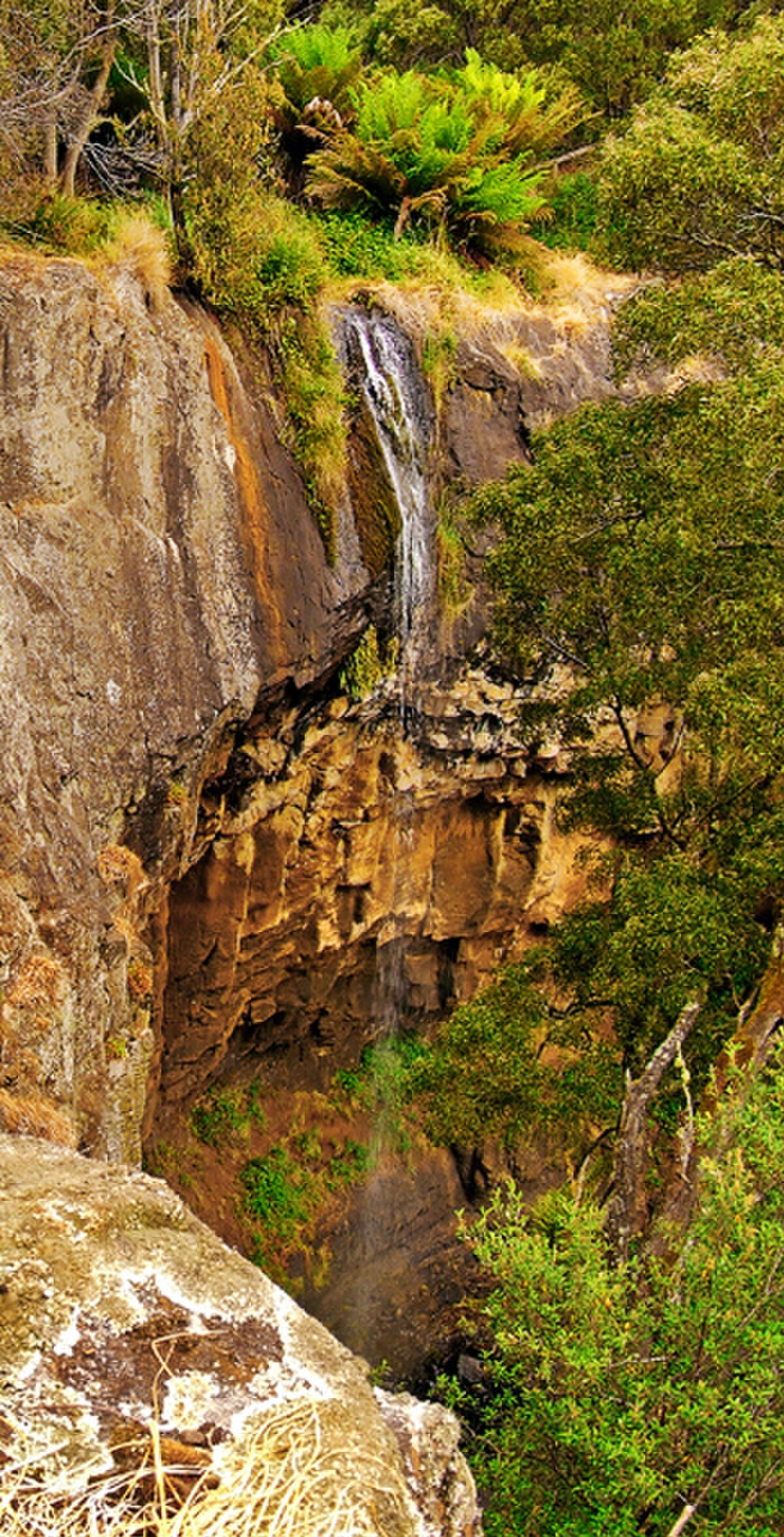 Delaneys Falls