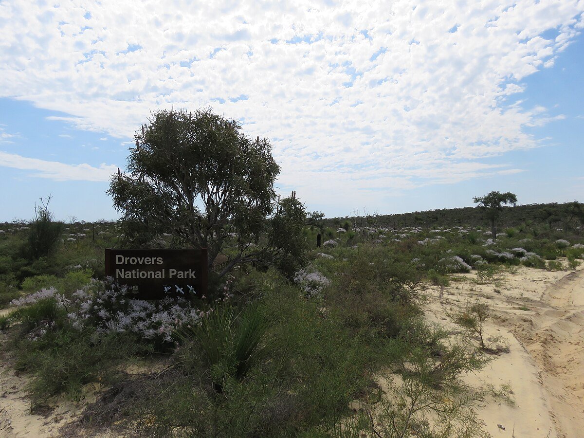 Drovers Cave National Park