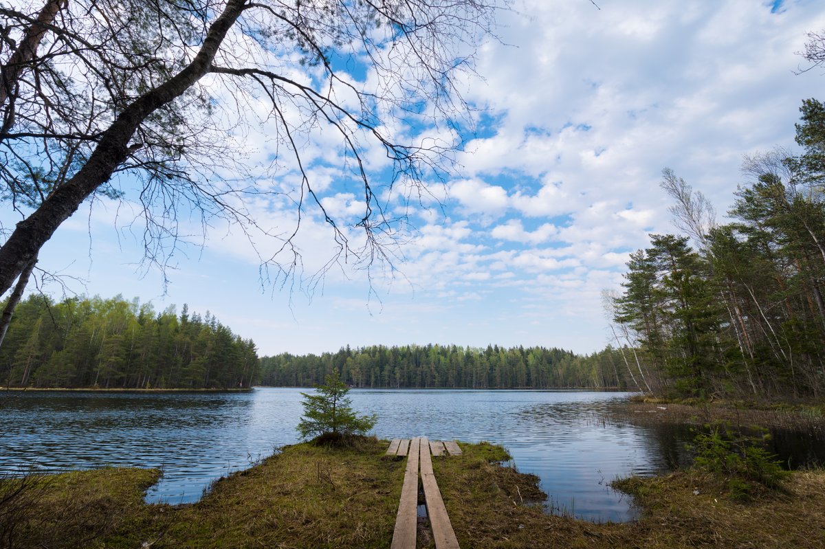 Sipoonkorpi National Park
