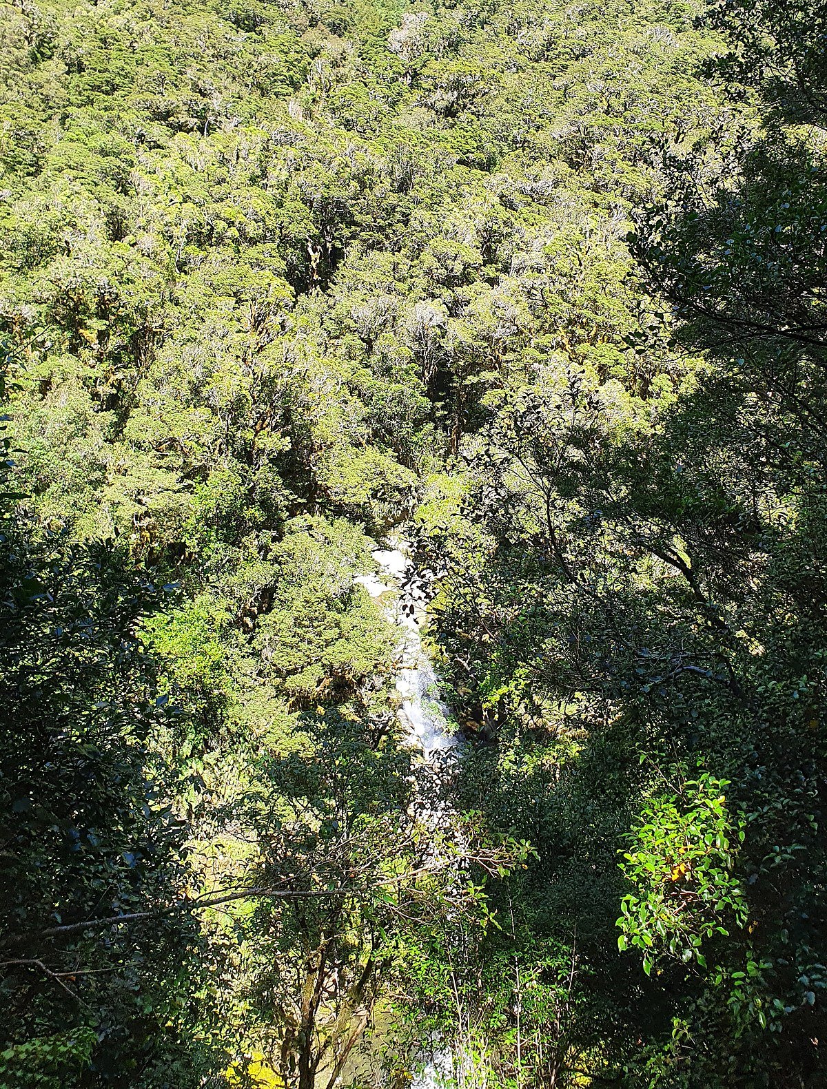 Dudleigh Falls