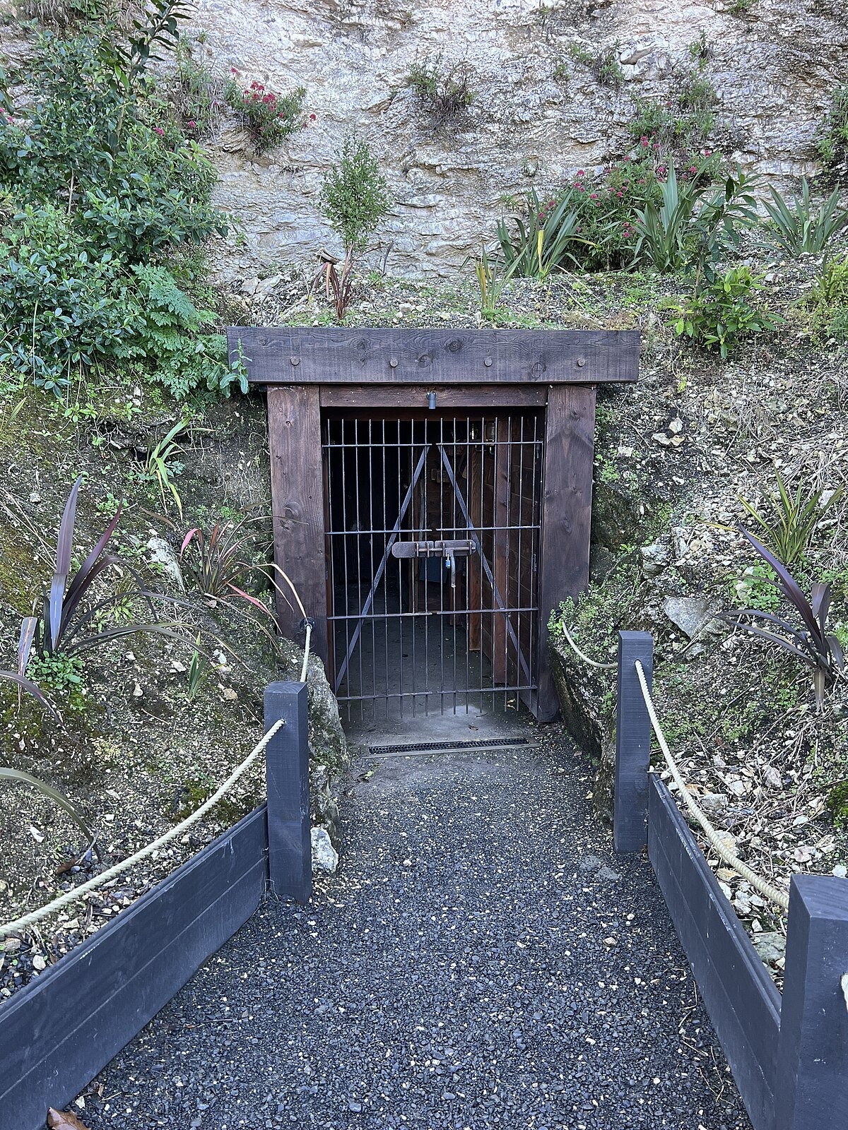 Te Ana – The Caves