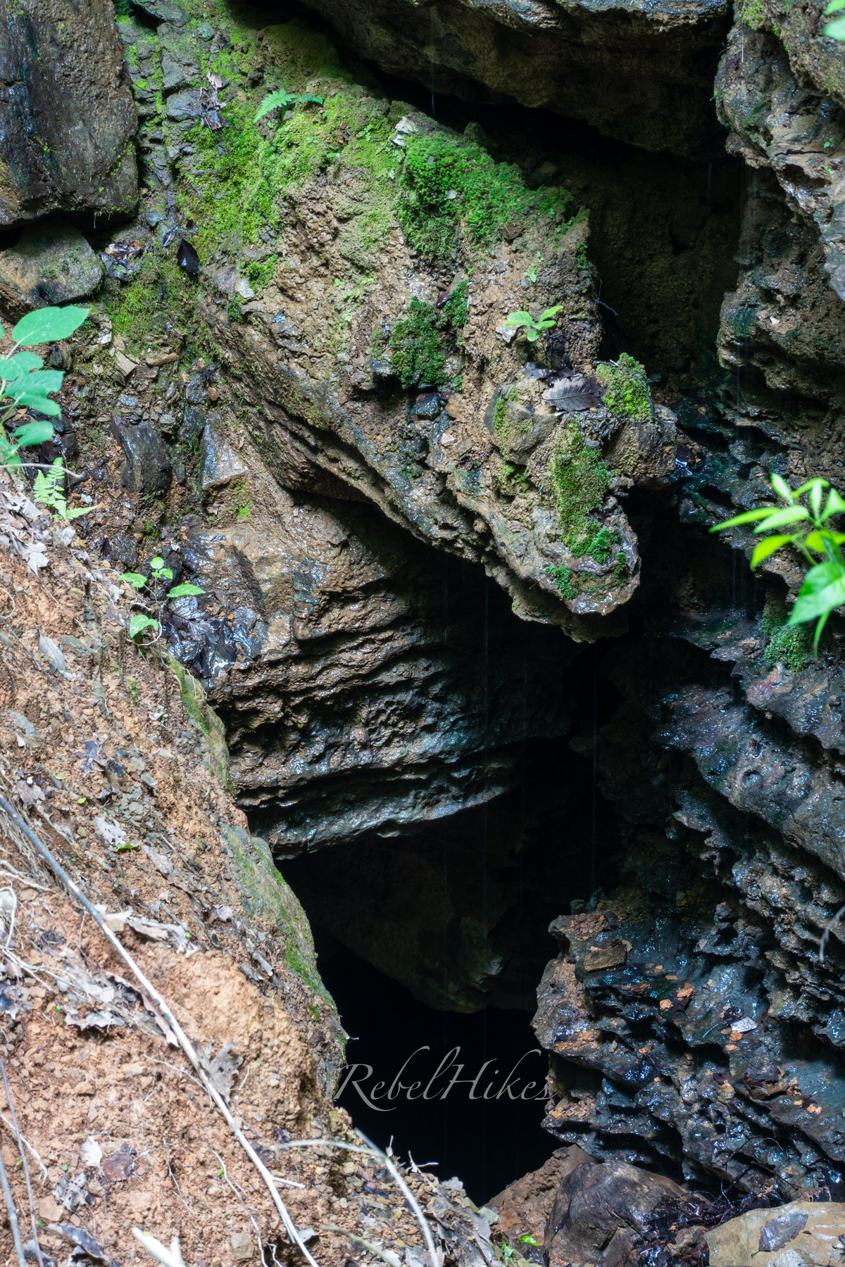 Ellison's Cave