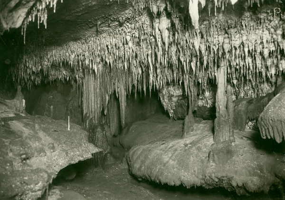 Buchan Caves