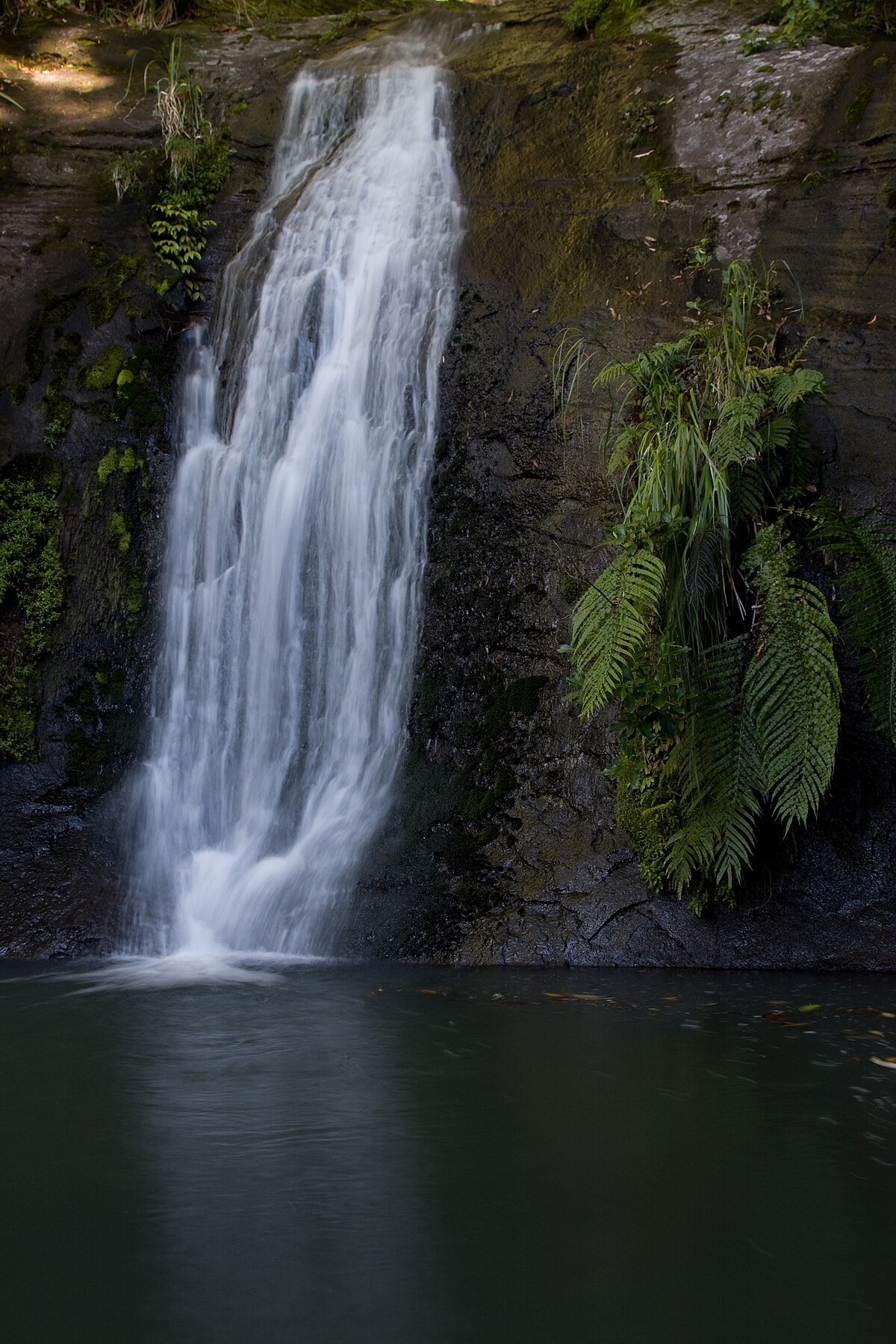 Fairy Falls
