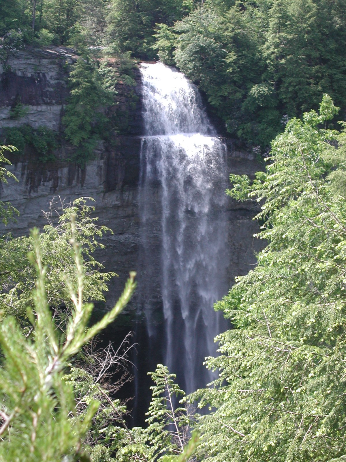 Cane Creek Cascades