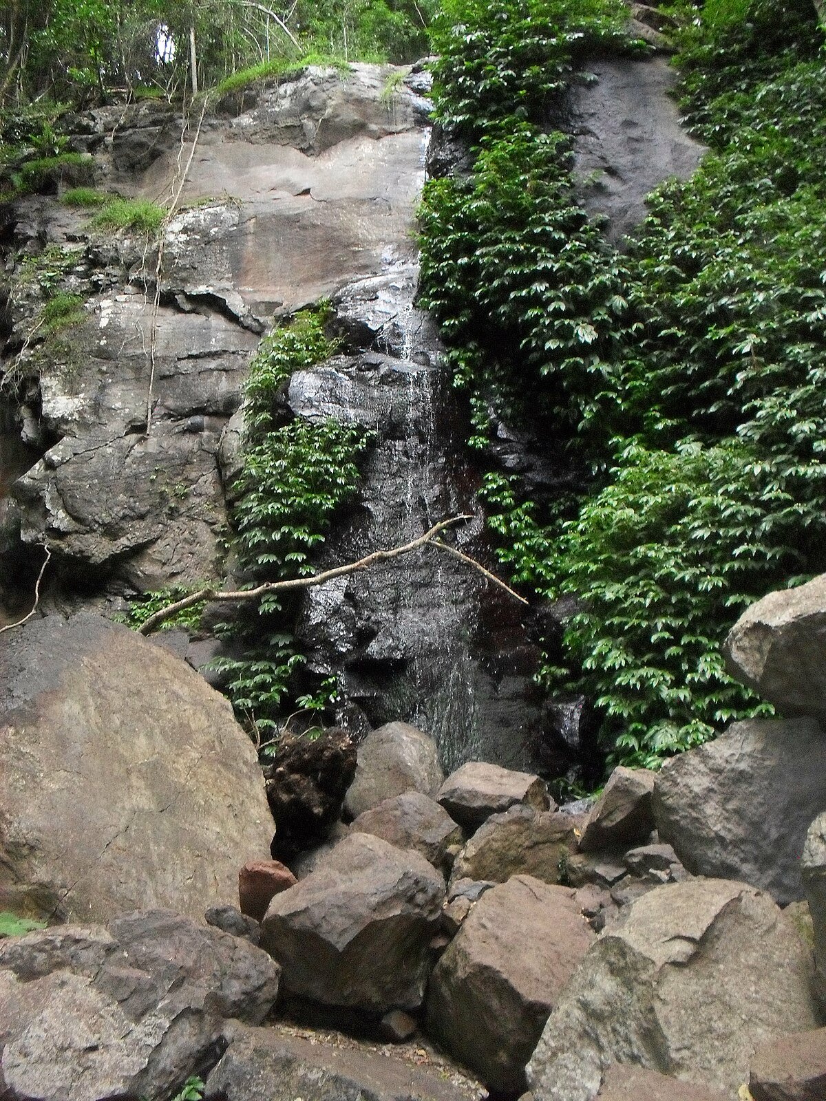 Festoon Falls