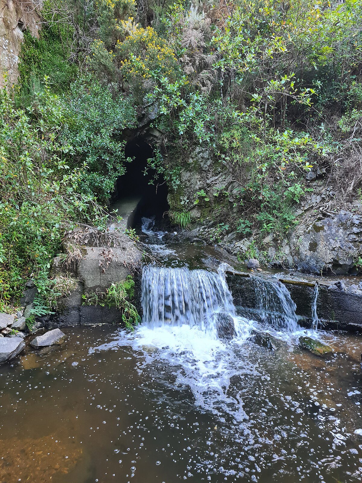 Fish Ladder Waterfall